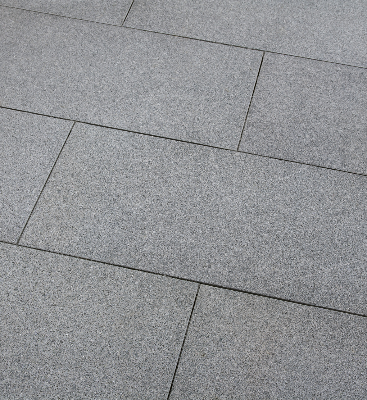 GALA EXACTA NEW -geflammt-