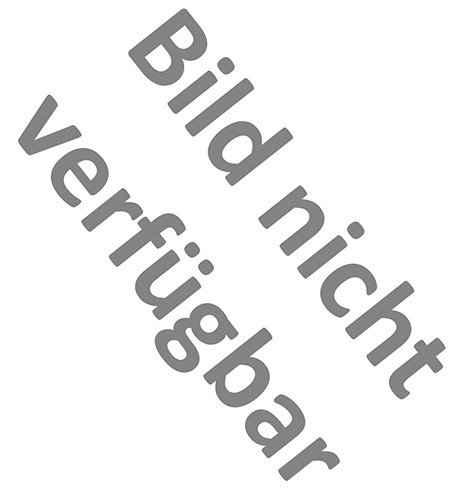Rasenkanten aus 3cm-Keramik -MITTELSTÜCK-