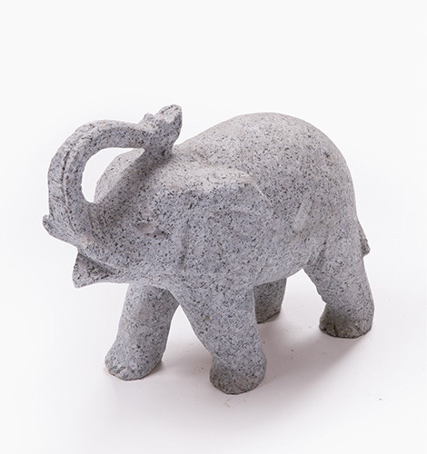 ELEFANT KATARA
