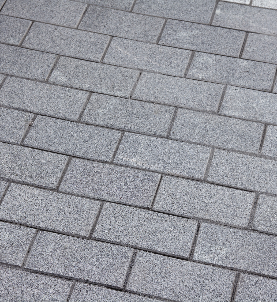 GALA EXACTA NEW -geflammt-